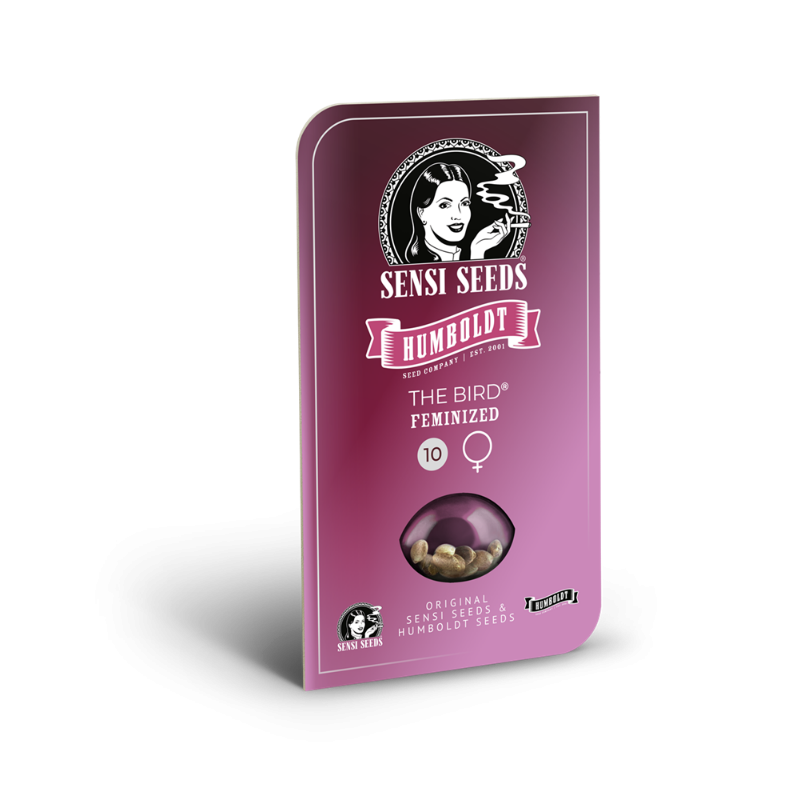 The Bird - Féminisée - Sensi Seeds