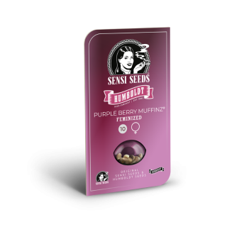 Purple Berry Muffinz - Féminisée - Sensi Seeds Humboldt