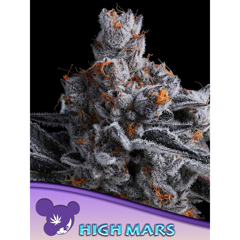 High MARS - Féminisée - Anesia Seeds | ROOTS-SEEDS.FR