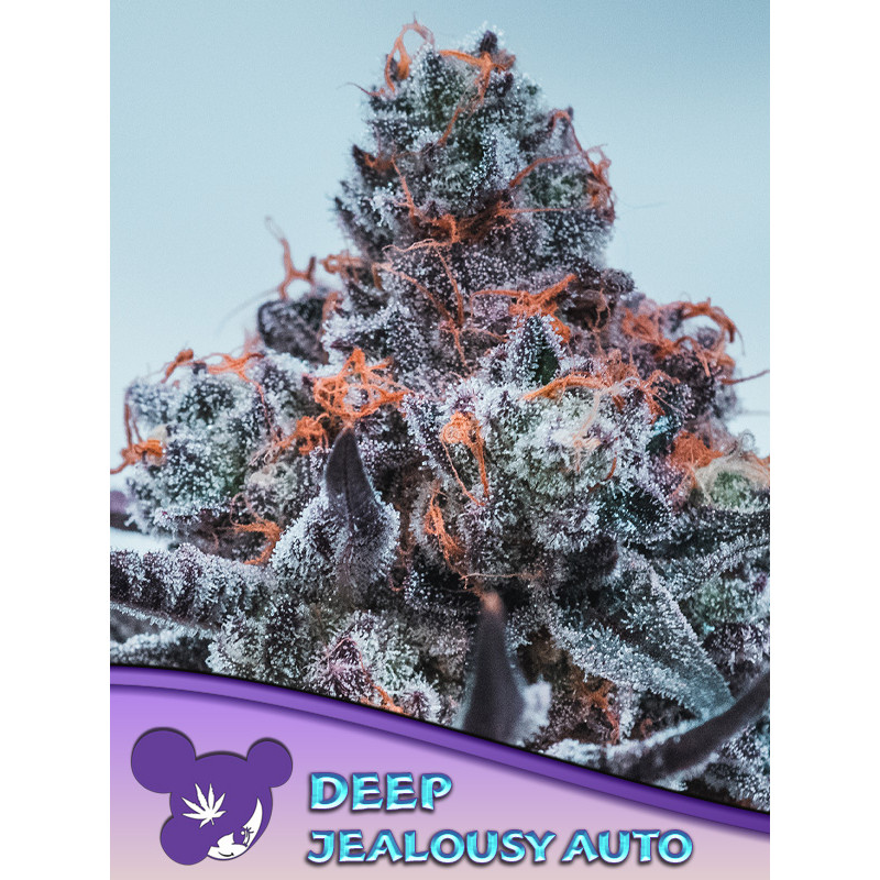 Deep Jealousy - Autofloraison - Anesia Seeds | ROOTS-SEEDS.FR