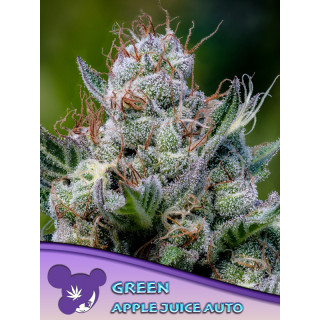 Green Apple Juice - Autofloraison - Anesia Seeds | ROOTS-SEEDS.FR