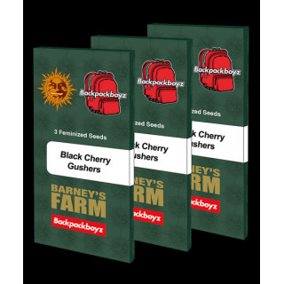 Black Cherry Gushers - Féminisée - Barney’s Farm | ROOTS-SEEDS.FR