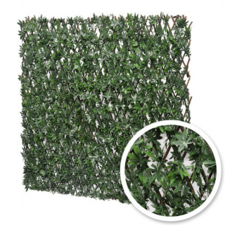 Vigne Vierge - Treillis Extensibles En Bois De Saule