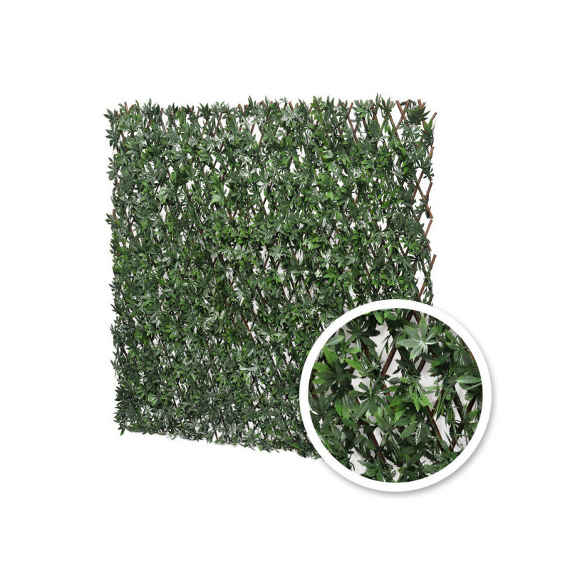 Vigne Vierge - Treillis Extensibles En Bois De Saule
