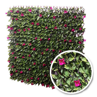 Bougainvillier - Treillis Extensibles En Bois De Saule