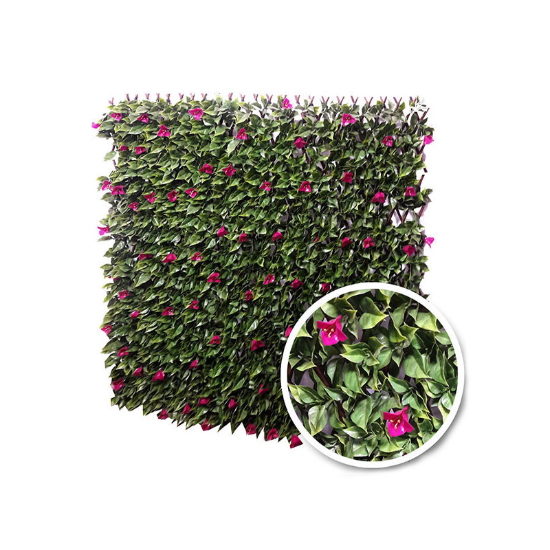 Bougainvillier - Treillis Extensibles En Bois De Saule