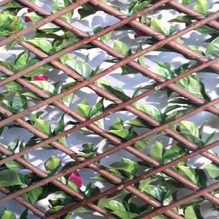 Bougainvillier - Treillis Extensibles En Bois De Saule
