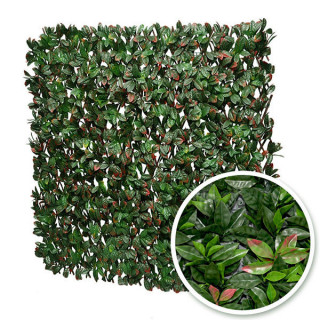 Photinia - Treillis Extensibles En Bois De Saule