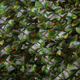 Photinia - Treillis Extensibles En Bois De Saule