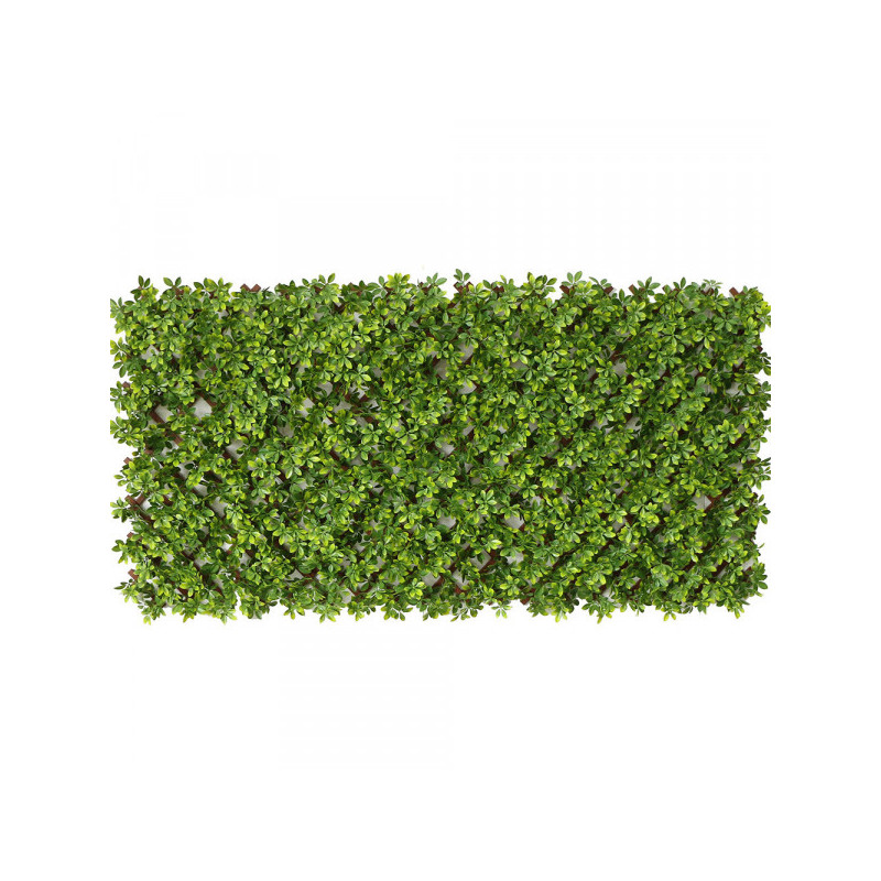 Ficus - Treillis Extensibles PVC