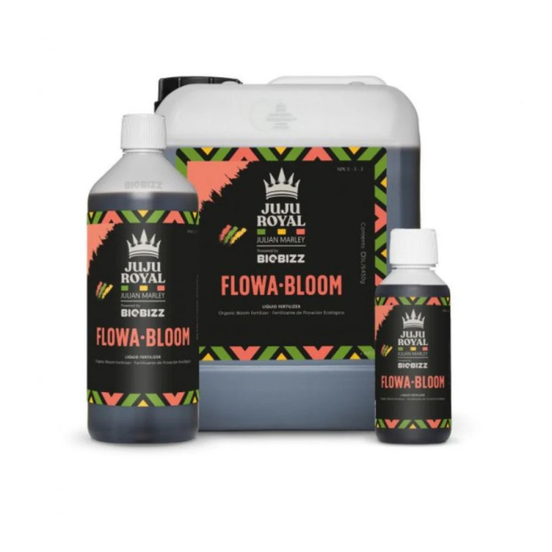 Flowa Bloom Juju Royal