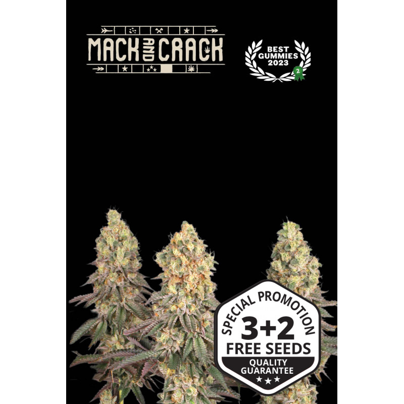 Mack & Crack - Fem - Seed Stockers