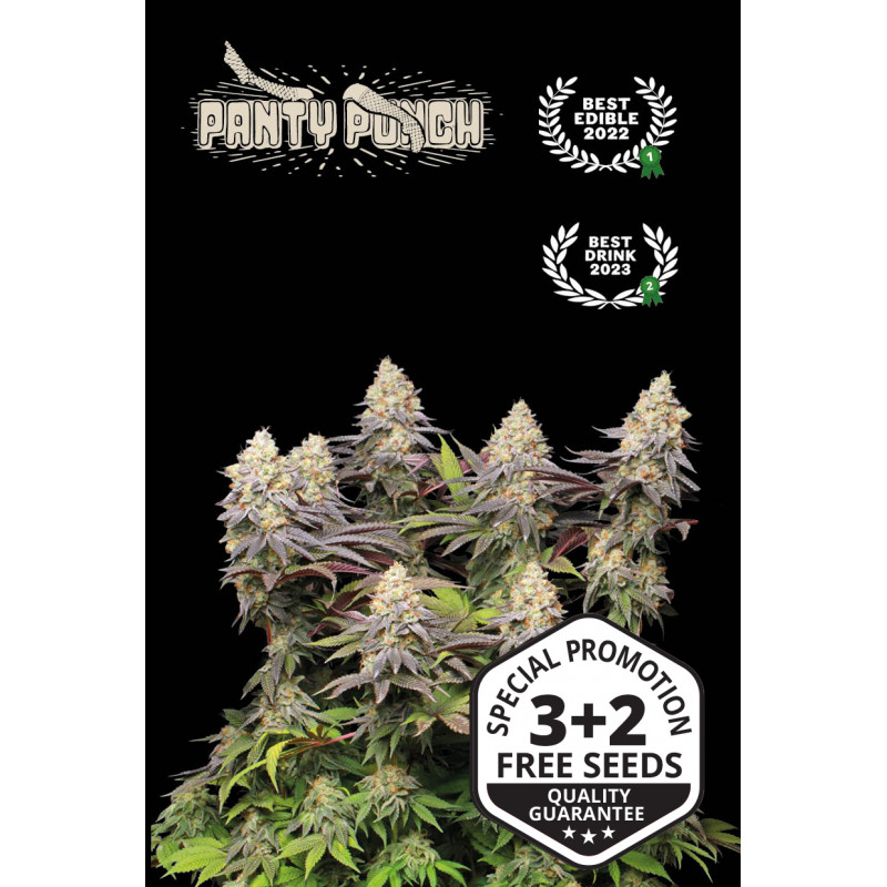 Panty Punch - Fem - Seed Stockers