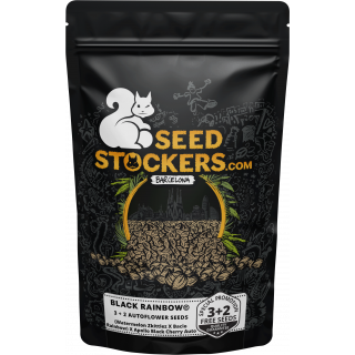 Black Rainbow - Auto - Seed Stockers