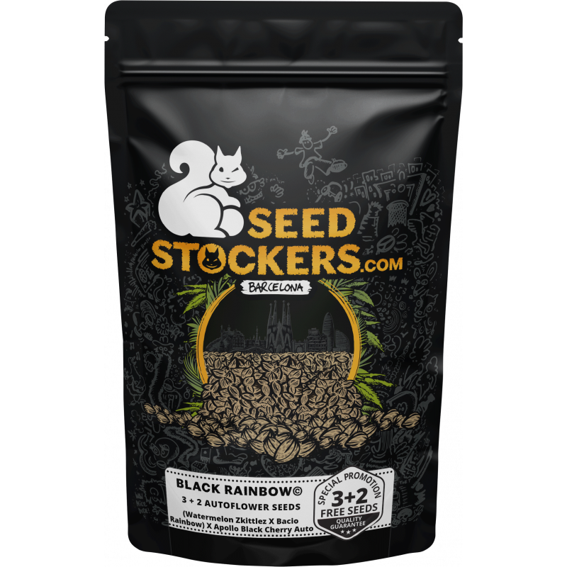 Black Rainbow - Auto - Seed Stockers