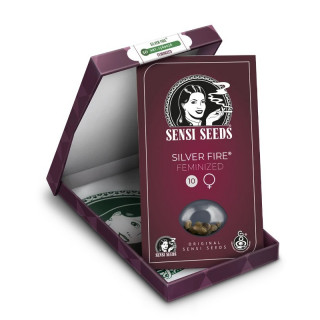Silver Fire - FEM - Sensi Seeds - Graines de Collection