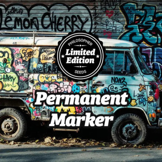 Permanent Marker - FEM - Philosophers Seeds