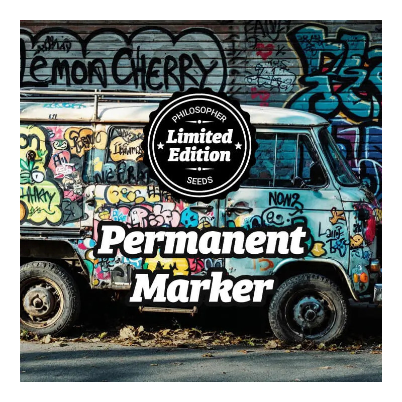 Permanent Marker - FEM - Philosophers Seeds
