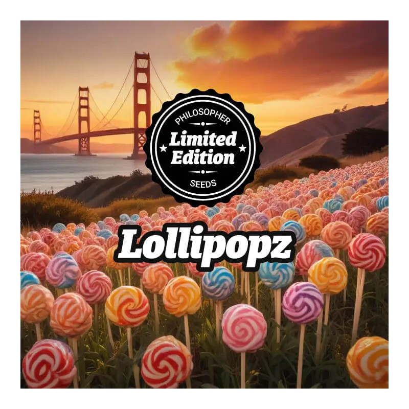 Lollipopz - FEM - Philosophers Seeds