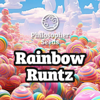Rainbow Runtz - FEM - Philosophers Seeds