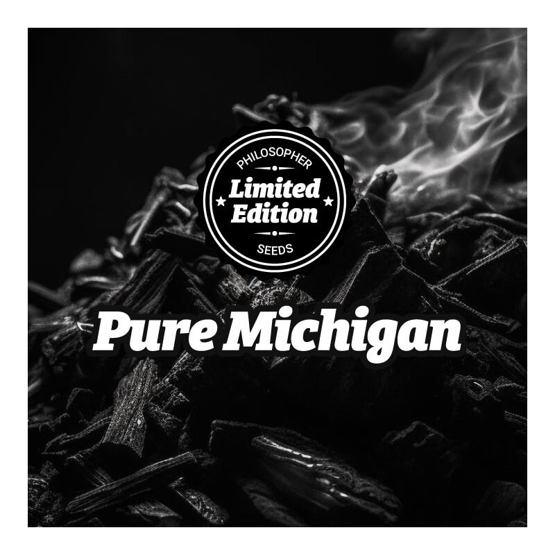 Pure Michigan - Féminisée - Philosophers Seeds | ROOTS-SEEDS.FR