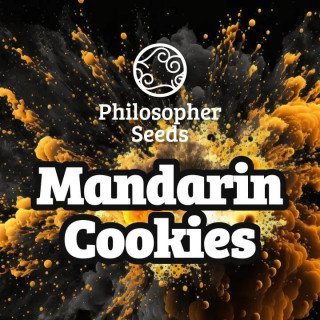 Mandarin Cookies - Féminisée - Philosophers Seeds | ROOTS-SEEDS.FR