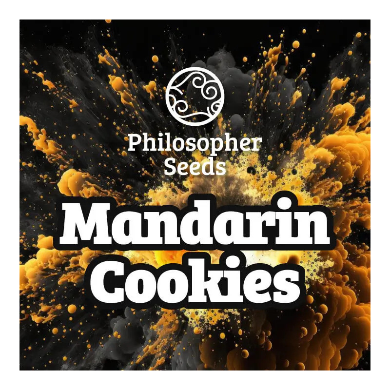 Mandarin Cookies - Féminisée - Philosophers Seeds | ROOTS-SEEDS.FR