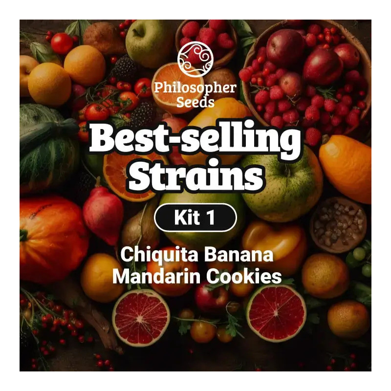 Kit Best-Selling Strains - FEM - Philosopher Seeds