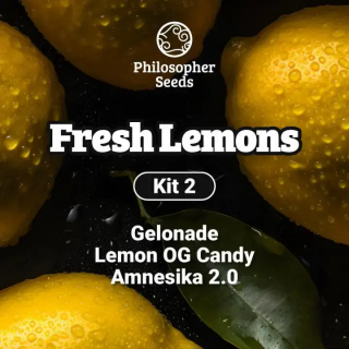 Kit Fresh Lemons - FEM - Philosopher Seeds