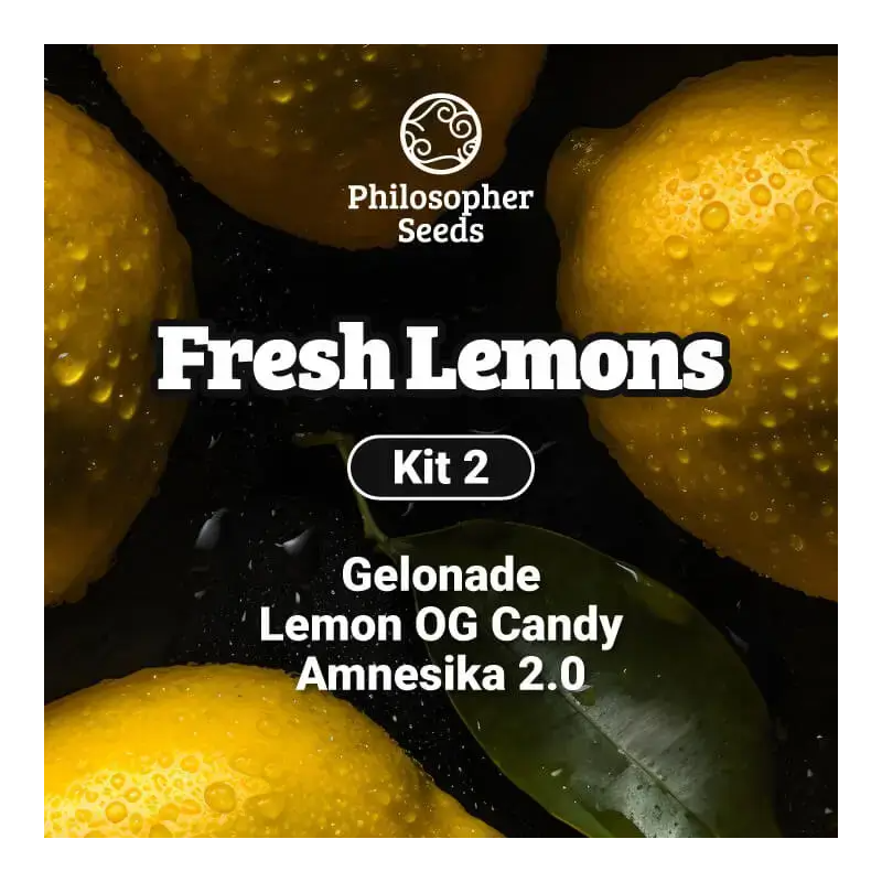 Kit Fresh Lemons - FEM - Philosopher Seeds
