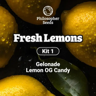 Kit Fresh Lemons - FEM - Philosopher Seeds