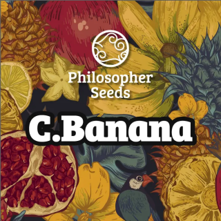 C.Banana - FEM - Philosophers Seeds
