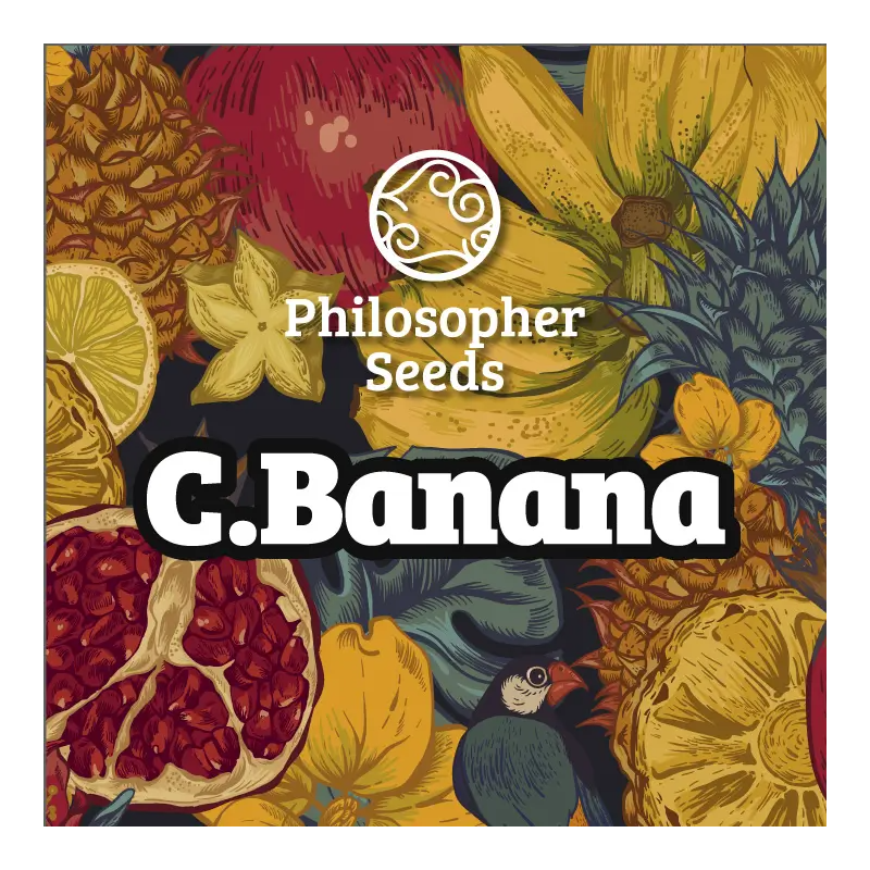 C.Banana - FEM - Philosophers Seeds