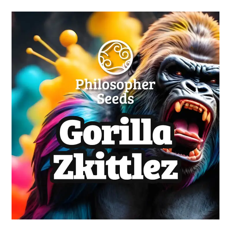 Gorilla Zkittlez - FEM - Philosophers Seeds