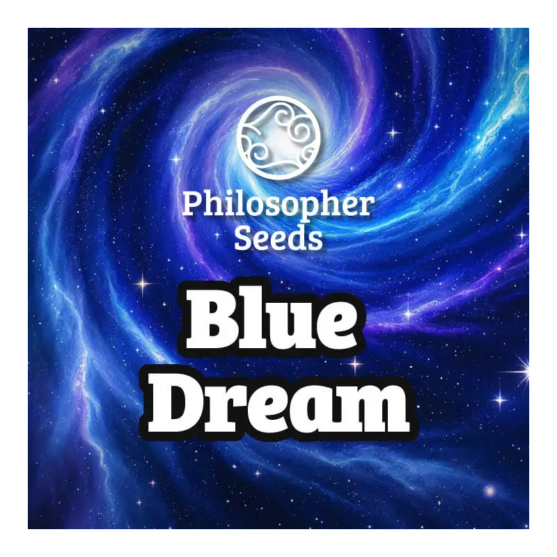 Blue Dream - FEM - Philosophers Seeds