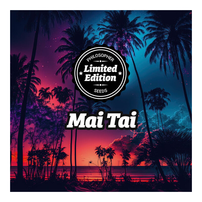 Mai Tai - FEM - Philosophers Seeds