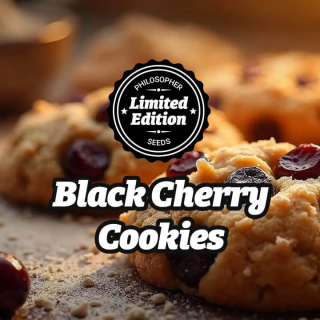 Black Cherry Cookies - FEM - Philosophers Seeds