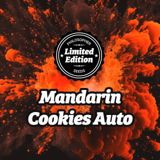 Mandarin Cookies - AUTO - Philosophers Seeds