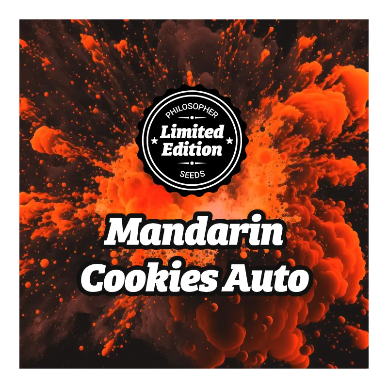 Mandarin Cookies - AUTO - Philosophers Seeds