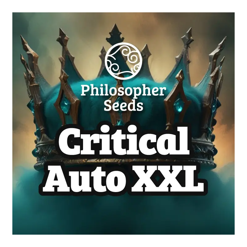 Critical Auto XXL - Philosophers Seeds