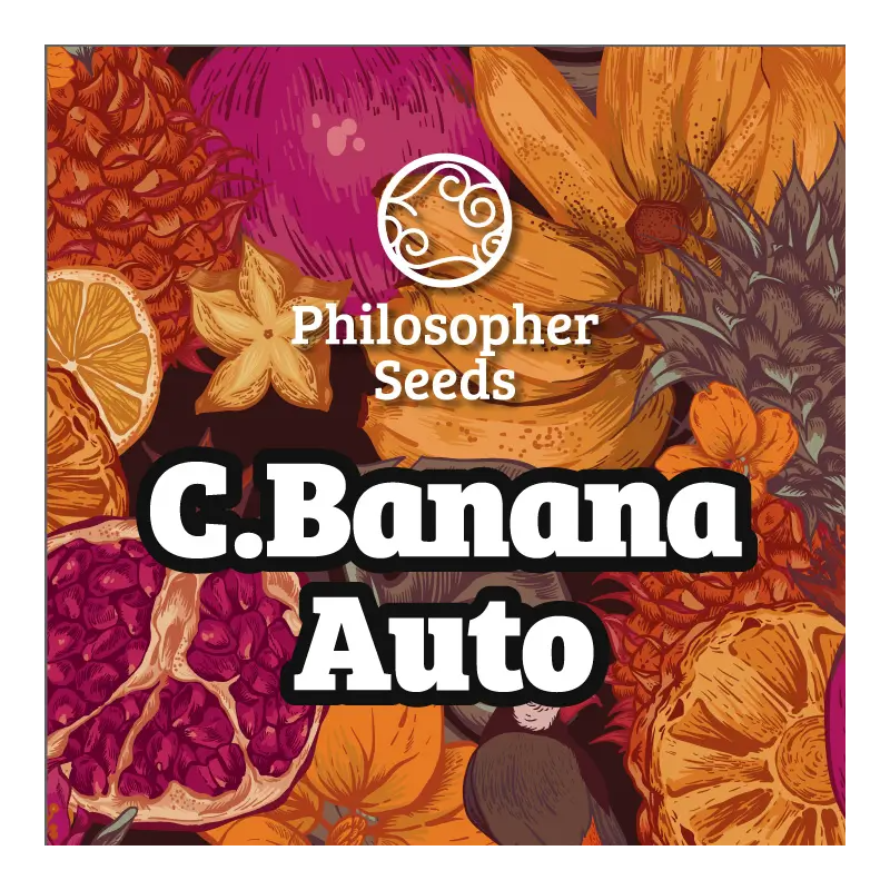 C.Banana -  AUTO - Philosopher Seeds