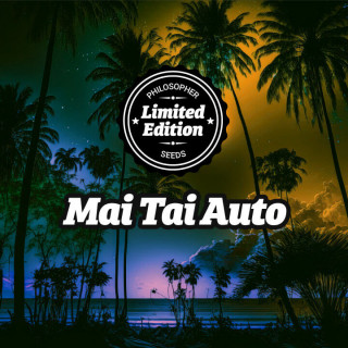 Mai Tai -  AUTO - Philosopher Seeds