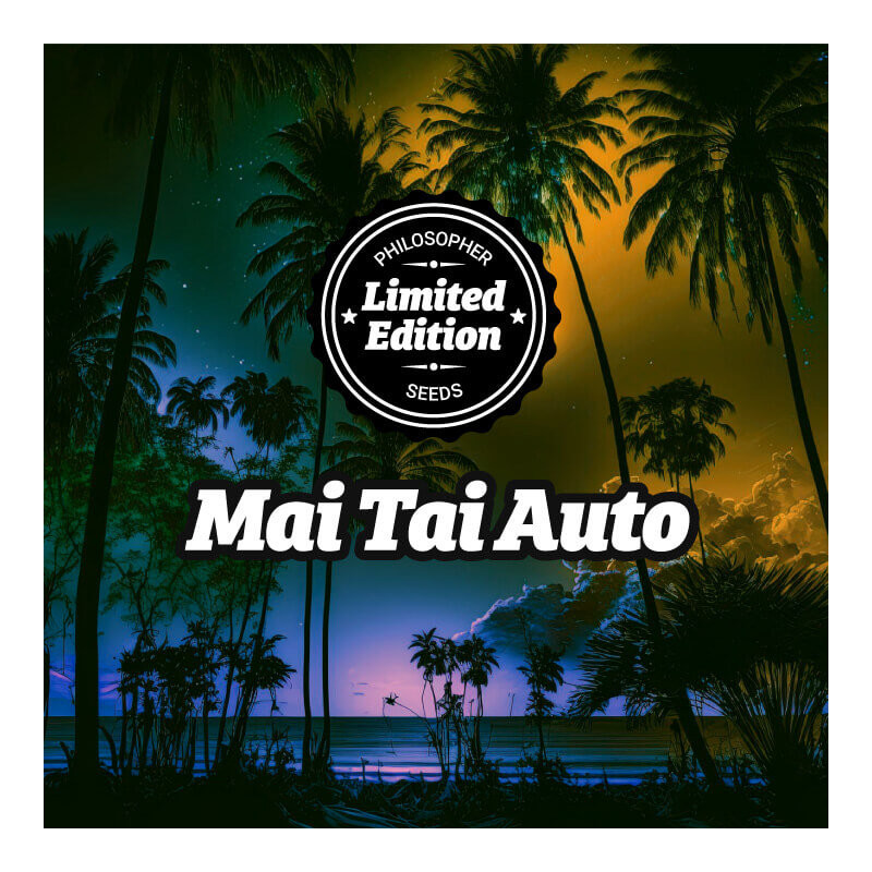 Mai Tai -  AUTO - Philosopher Seeds