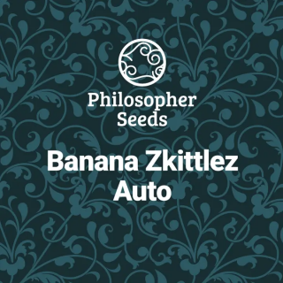 Banana Zkittlez - AUTO - Philosopher Seeds