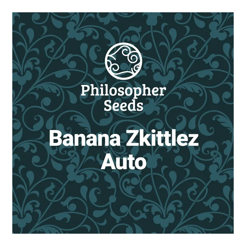 Banana Zkittlez - AUTO - Philosopher Seeds