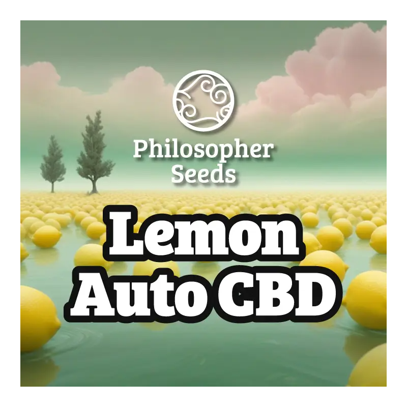 Lemon Auto CBD - Philosopher Seeds