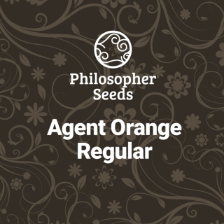Agent Orange - REG - Philosopher Seeds