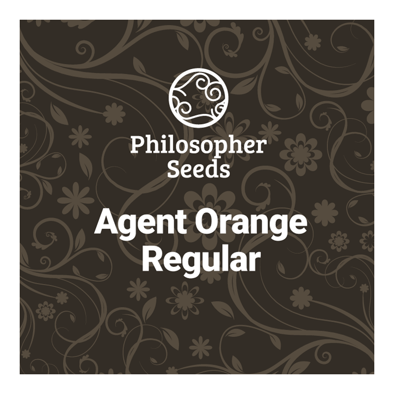 Agent Orange - REG - Philosopher Seeds