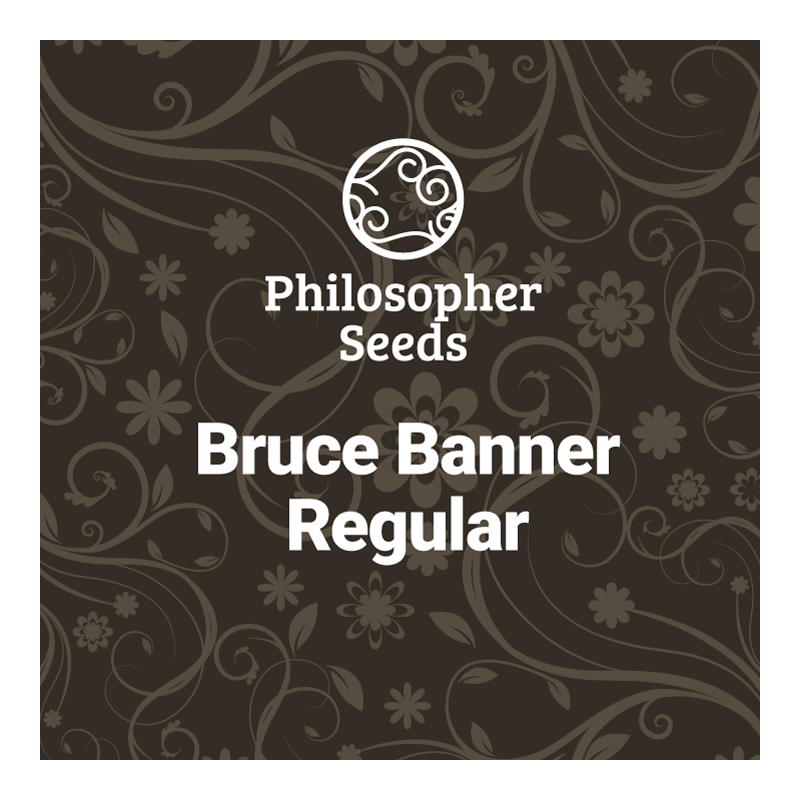 Bruce Banner - REG - Philosopher Seeds