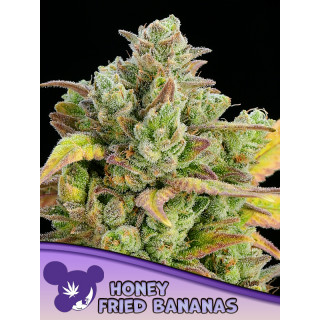 Honey Fried Bananas - FEM - Anesia Seeds